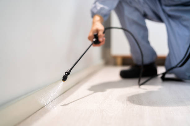 Licensed Pest Control service in Foster Brook, PA - Show Me Pest Control
