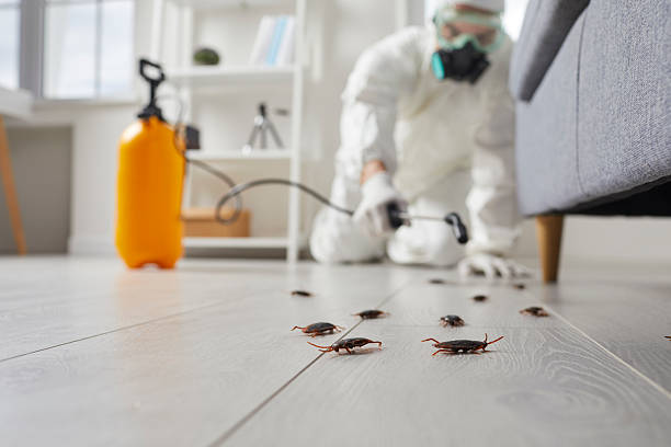 Post-Treatment Bed Bug Interceptor Monitoring in Foster Brook