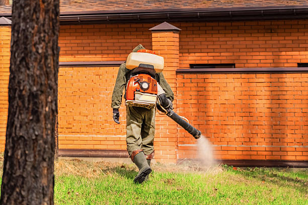 Bed Bug Clearance Verification and Documentation in Foster Brook